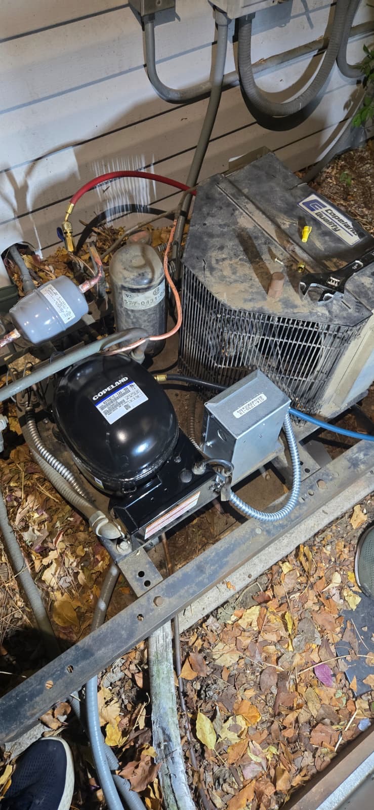 Commercial Freezer, Image 8